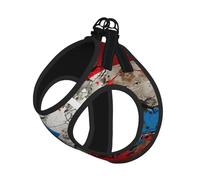 Puerto rico Wallpaper Flag Print Step in Dog Harness and Leash Set,Mesh Pet Vest Harness for Small Dogs and Cats