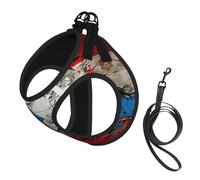 Puerto rico Wallpaper Flag Print Step in Dog Harness and Leash Set,Mesh Pet Vest Harness for Small Dogs and Cats