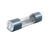 Püschel FSUSF10A G Fuse 6.3x32mm 10A 500V Fast Acting 10 Pieces