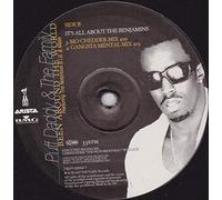 Puff Daddy - BEEN AROUND THE WORLD [12" VINYL]