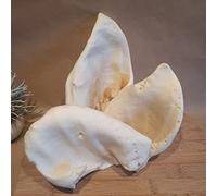 Puffed Pig Ears Large. Natural Dog Chew, Dental Hygiene. 3 or 5 pack (3 pack)