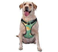 Puffer Fish Motif Small Printed pet Traction Vest for Pets to wear When Walking The Dog or Climbing Mountains