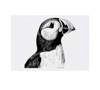 'Puffin Bird Portrait' Temporary Tattoo - Water Resistant, Skin-Safe, Non-Toxic Transfer (TO00077273)