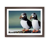 Puffin Birds Vol.3 Framed Print | A4 Walnut Framed Wall Art | Ready to Hang | Modern Nature Picture | Living Room Bedroom Lounge Office