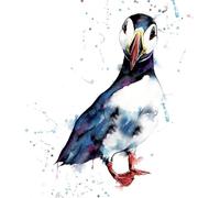 Puffin Design Greetings Card - Beautiful Watercolour Wildlife Illustration - Blank All-Occasion Card for Birthdays, Thank You & Everyday Messages - Nature Inspired Card with Envelope - Premium Quality
