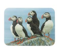 Puffin Glass Worktop Saver by British Wildlife Artist Robert E Fuller Kitchen Gift 40x30 cm Glass Kitchenware, Home.