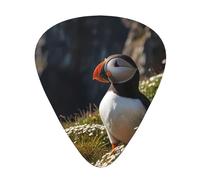 Puffin is Cliffs Patterned Guitar Picks - 12-Piece Set with 3 Different Thicknesses, Suitable for Electric and Acoustic Guitars