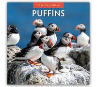 Puffins 2026 Square Wall Calendar: Original Red Robin Publishing Ltd-Kalender [Mehrsprachig] [Kalender]