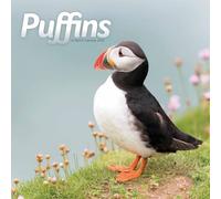 Puffins Calendar 2025