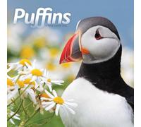 Puffins Calendar 2026