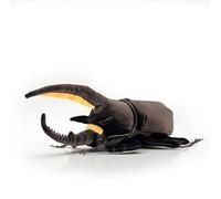 PuffPurrs Lifelike Dynastes neptunus Plush Toy, Realistic Beetles Teddy Stuffed Animal, Cute Dynastinae insect Unique Pillow Toy Gift, 25 CM/9.8 Inch