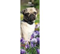 Pug 2026 Slim Calendar