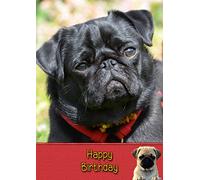 Pug Birthday Card