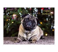 Pug Birthday Card