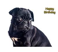Pug Birthday Card