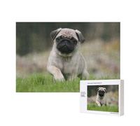 Pug Bokeh Puppy Dogs Lawn Pets Pug,300 Pieces Wooden Jigsaw Family Game Jigsaw Puzzles for Adults Teens Home Decor