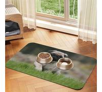Pug Bokeh Puppy Dogs Lawn Pets Pug,Waterproof Pet Feeding Mat,PU Leather Placemats for Cat Dog Water Bowl,Food Mats,40x60cm