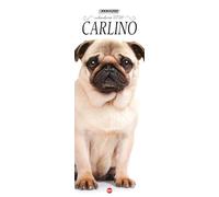 Pug Calendar 2026 Long