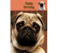 Pug Dog Birthday Card