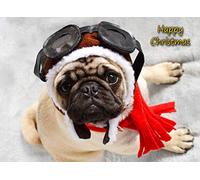 Pug Dog Christmas Card 'Happy Christmas' - Special Animal Xmas Card for Him Her from Pets Kids