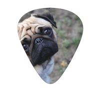 Pug Dog Guitar Paddle 12 Pack Guitar Pickup Suitable For Playing Acoustic Guitars, Electric Guitars, Etc.