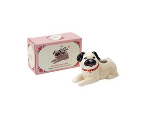 Pug Dog Mini Indoor Air Planter | Pets | Gift Box | Home Accessory | Floral Prints by CGB Giftware | GB06168