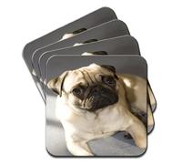 Pug Dog Staring Set of 4 Coasters