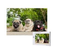 Pug Friendship Bokeh Dogs Pets Friends Pug,1000 Pieces Wooden Jigsaw Family Game Jigsaw Puzzles for Adults Teens Home Decor