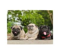 Pug Friendship Bokeh Dogs Pets Friends Pug Adults 500 Pieces Puzzles-Jigsaw Wooden Puzzle for Adults Elderly