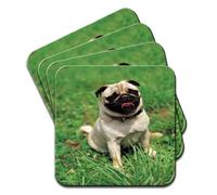 Pug In A Field Set Of 4 Coasters