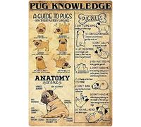 Pug Knowledge Metal Signs Pug Infographics Retro Tin Signs Posters Animal Encyclopedia Plaque Decoration Classroom Home Office Wall Decor 8x12inch