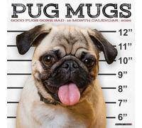 Pug Mugs 2026 12 X 12 Wall Calendar