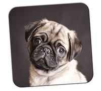 Pug On A Rug Coaster/Pack of Coasters