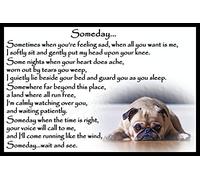 Pug Pet Dog Memorial Magnetic Plaque Fridge Magnet - Someday
