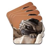 Pug Sitting in Towels Set of 4 Coasters