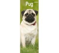 Pug Slim