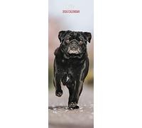 Pug Slim 2024 Calendar