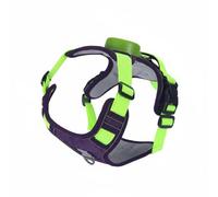 Pugermering Reflective Harness Leash Vest Retractable Adjustable Vest Lightweight Nylon Oxford Polyester Smooth Retract Control Suitable for morning walks night, Cyan, M