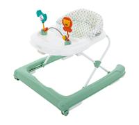 Puggle Fun & Play Baby Walker - Sage Green