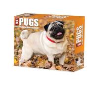 Pugs 2025 Box
