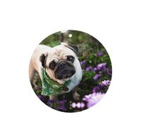 Pugs In The Garden Printing 10 Pieces Air Freshener Car Hanging Cards Air Freshener Sheets With Rope For Cars Home