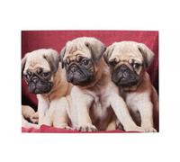 Pugs Sofas Blankets Color Photographs,500 Pieces Puzzles for Adults-Wooden Jigsaw Puzzle for Adults Elderly