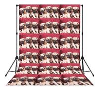 Pugs Sofas Blankets Color Photographs, Photography Backdrop Photo Props 5x7FT Photo Background for Party Home Decoration