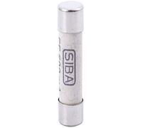 puhae 5 pcs Silver+White Ceramics 1000V 500mA 6.3 x 32mm White Ceramic Fuse for Multimeter 3 * 0.5 * 0.5cm