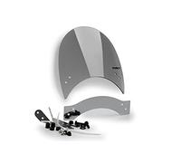 Puig 0131H Windshield Roadster Ahumado
