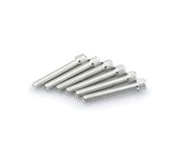 Puig 0524p Blister 6pc Hex Screw M8 X 50 mm, Silver