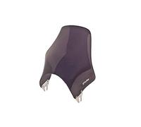 Puig 0869F Windshield Naked Dark Smoke