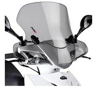 Puig 1989H City Touring improved wind protection, Smoke