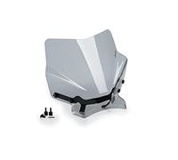 Puig Naked Bike Screen Incl. Mounting Kit, with ABE
