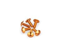 Puig 21763T Screw Kit Anodized For Screens Orange